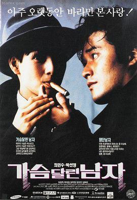 雾港长夜全网最新好看的高清电影